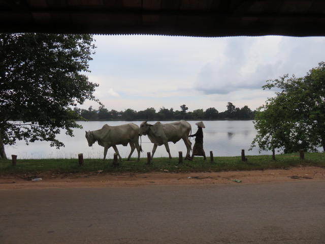 Imagen de Camboya