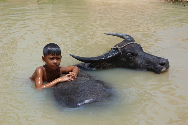 bonos en Camboya