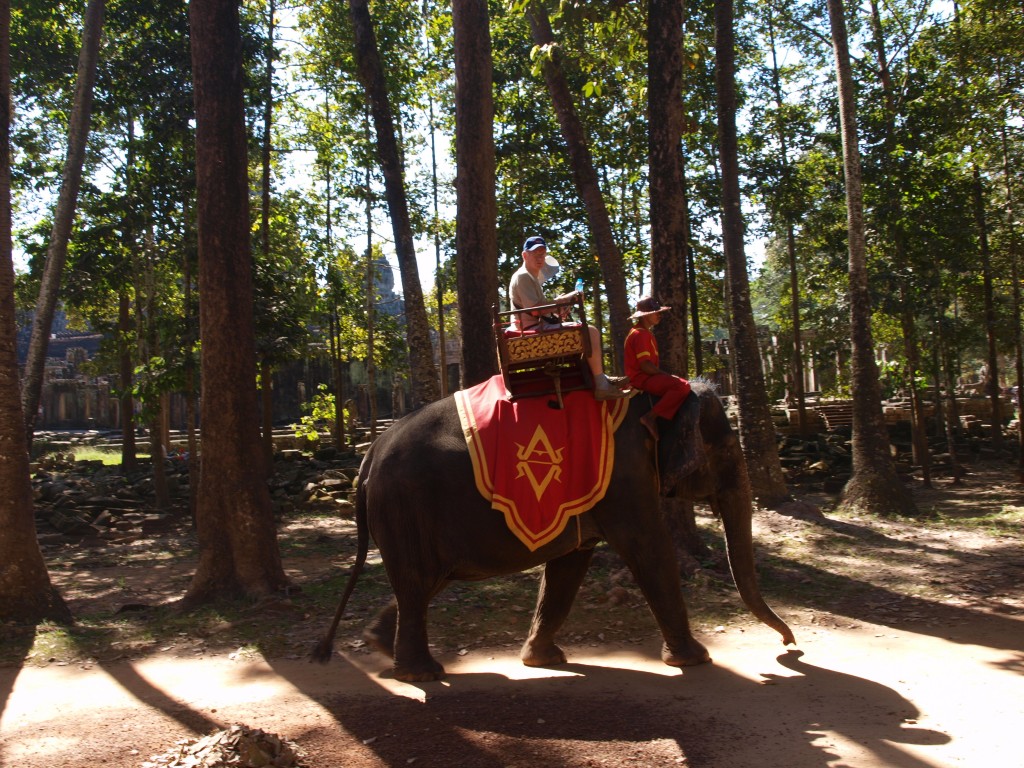 En elefante en Camboya