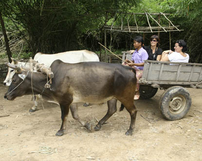 Viajar a Camboya en diferentes estilos