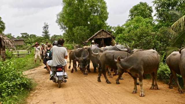 recorrido en Camboya