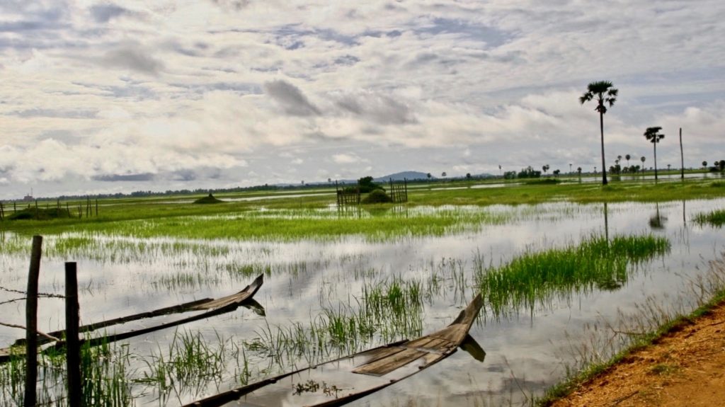 Viajar a Camboya paisaje