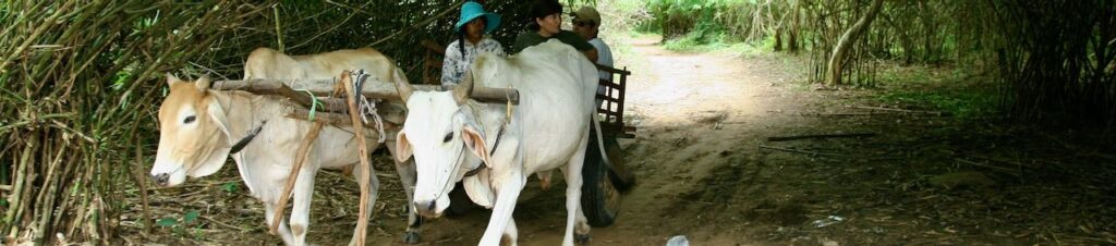 carreta