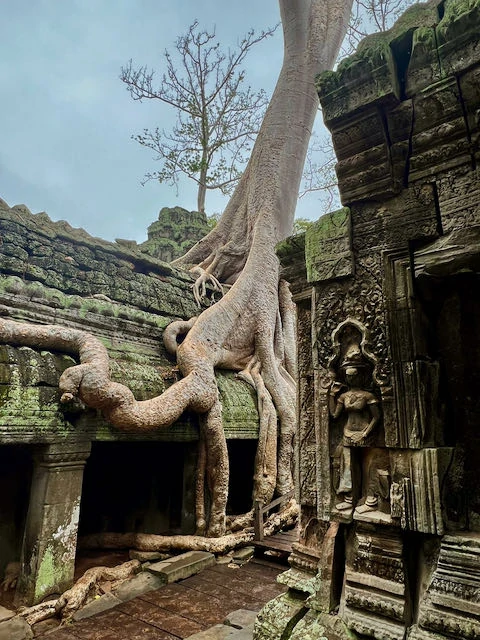 Ta Promh, un templo en Camboya