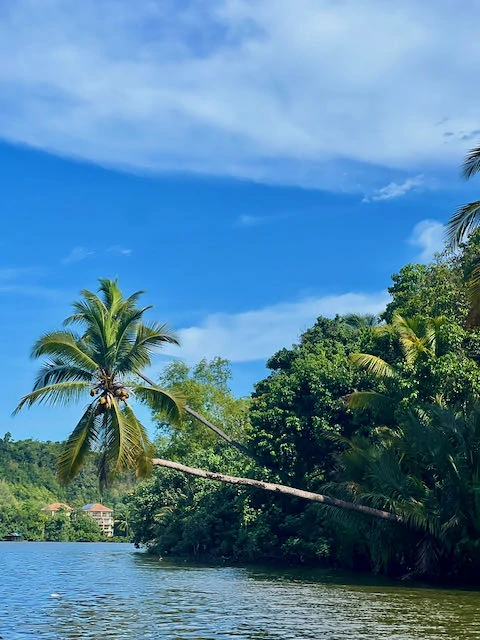 Rio en Camboya