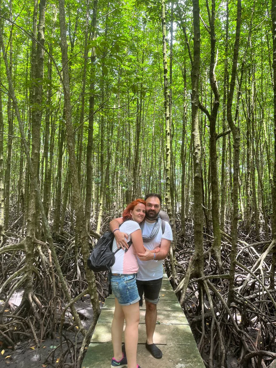Manglar en nuestro viaje de aventura en Camboya
