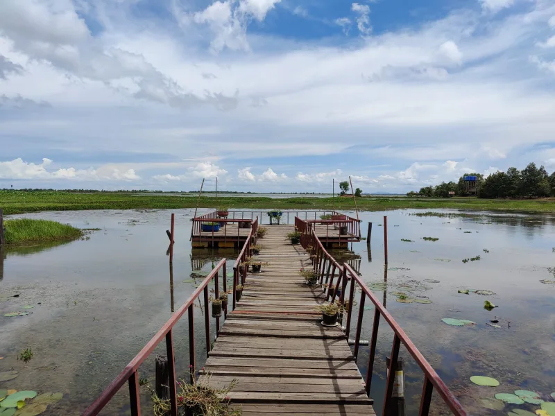 Un puente en un lago