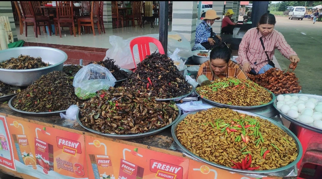 Delicias de Camboya