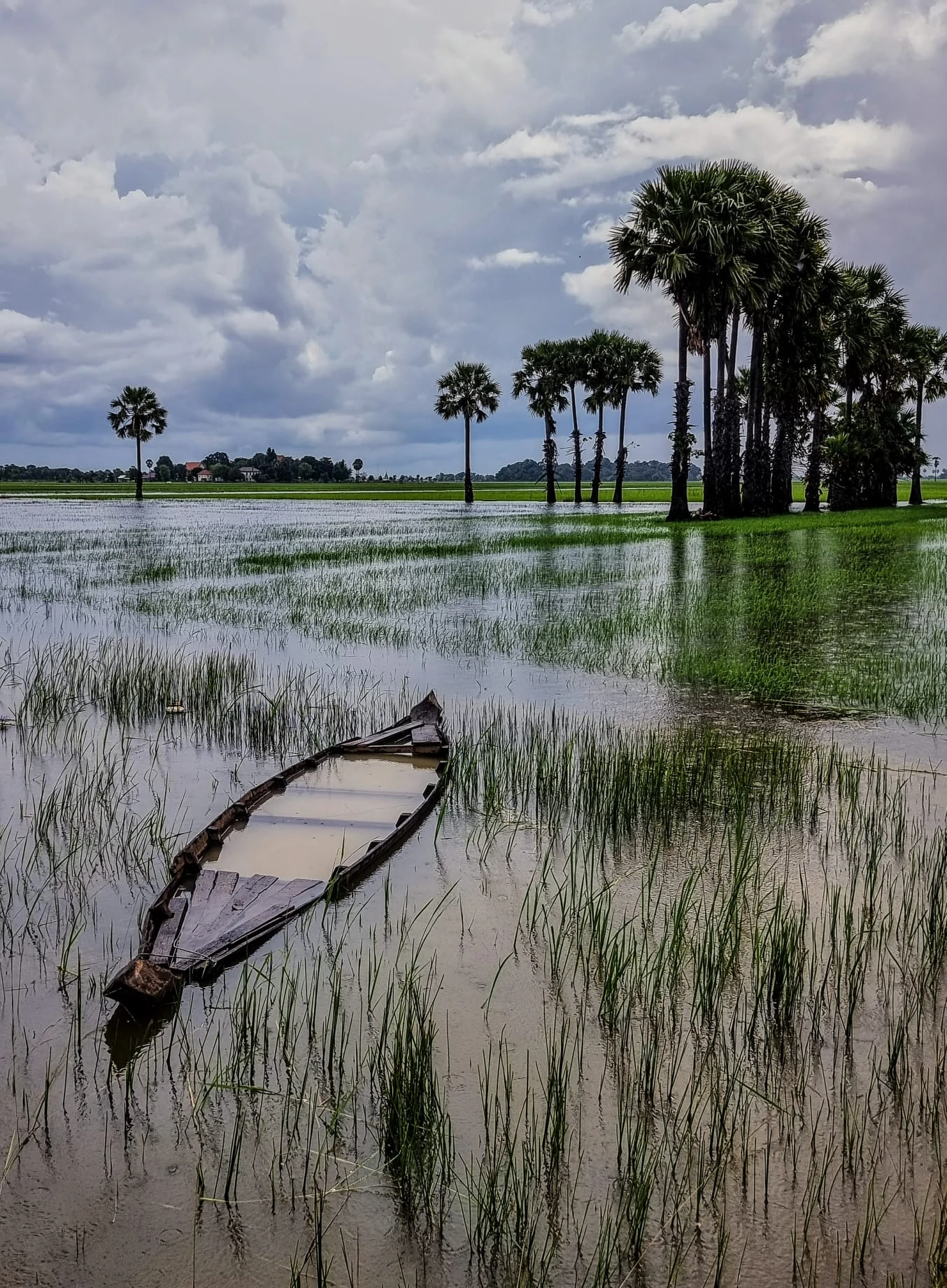 Paisaje en Camboya