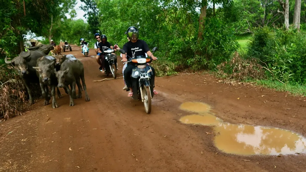 Campo de Camboya