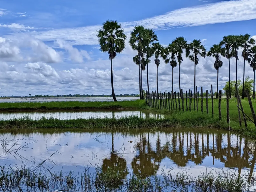 paisaje de Camboya