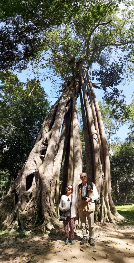 Un árbol único, juan Antonio