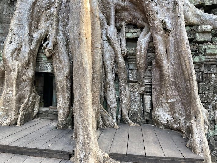 Templos de ankor en privado