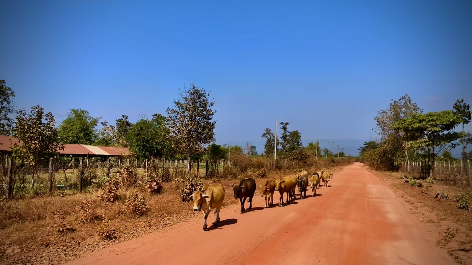 Viajes de lujo Camboya